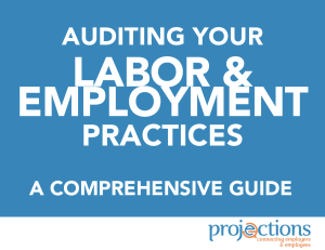 Labor & Employment Audit